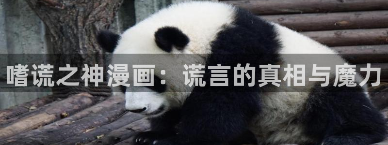 哔咔漫画网页版在哪里