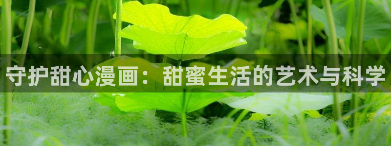 哔咔漫画网页链接