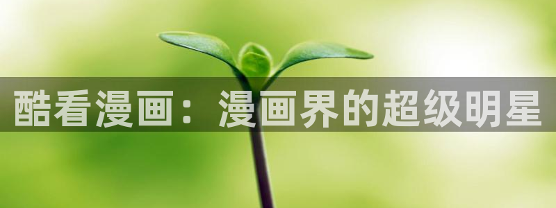 哔咔漫画旧版本2.0漫画资源