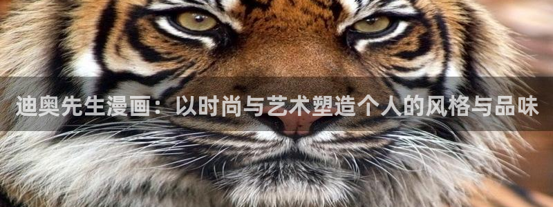 哔咔漫画网页版ios