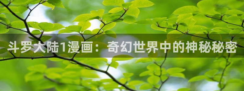 哔咔漫画热门漫画有哪些